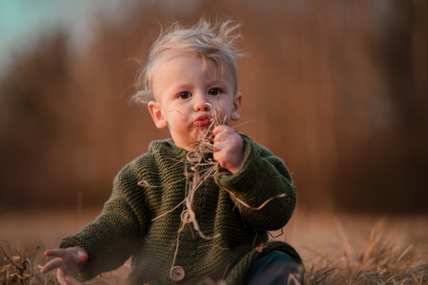 baby boy outdoor autumn portrait. child having fun in red and yellow fall leaves in garden