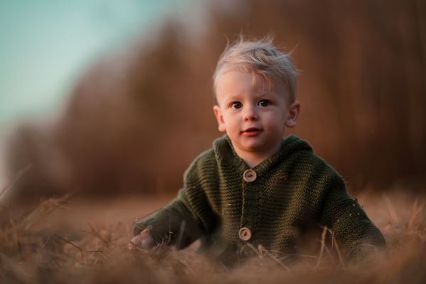 An autumn portrait of happy little boy in knitted sweater sitting and playing in dry grass in nature.