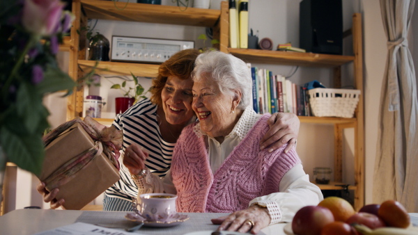 A happy mature woman surprising her senior mother when visiting her at home and bringing present.