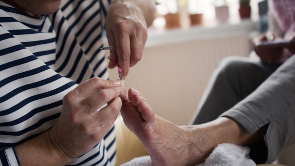 A close-up of senior woman receiving a pedicure from healthcare worker at home, beauty spa concept.