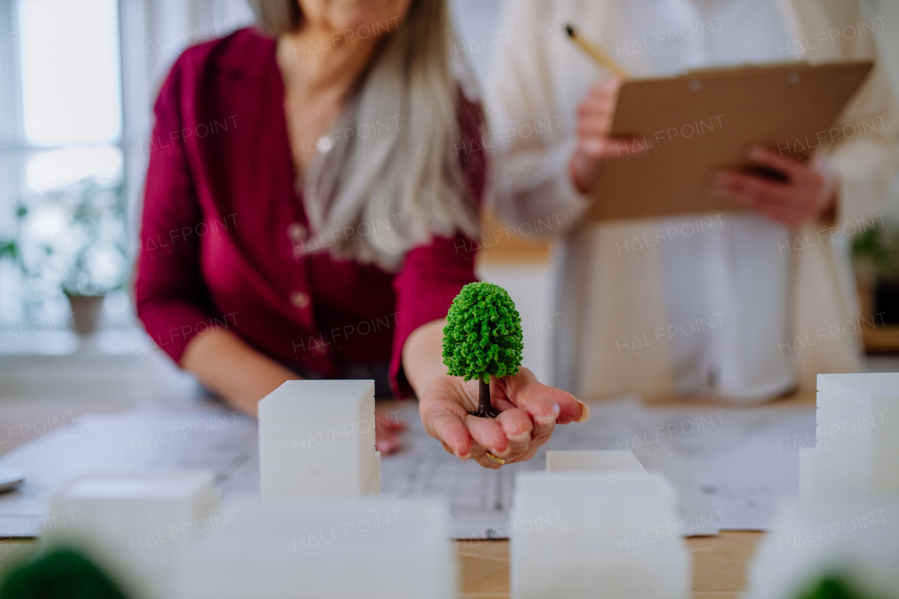 A close-up of senior women eco architects with model of modern bulidings and blueprints working together in office.