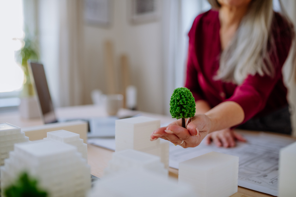 A close-up of senior women eco architects with model of modern bulidings and blueprints working together in office.