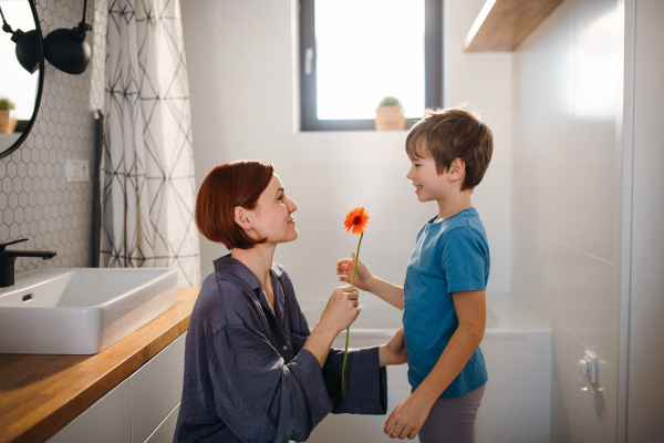 A lttle boy congratulates mother and gives her flower in bathroom at home.