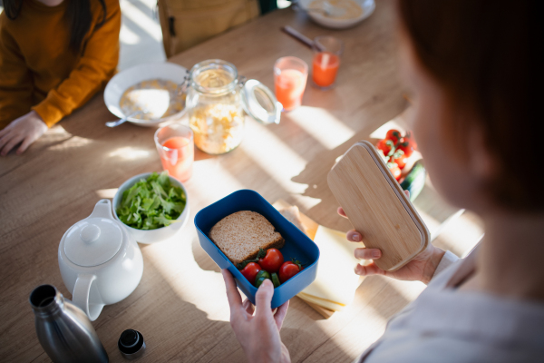 A close-up of mother preparing snack to lunch box in kitchen at home.