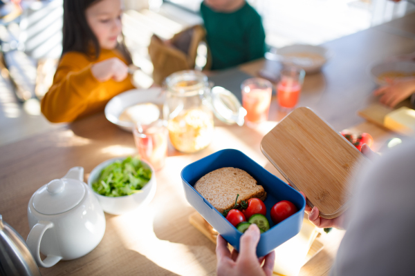 A close-up of mother preparing snack to lunch box in kitchen at home.