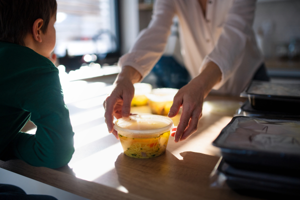 A mother serving take away lunch to little son at home.