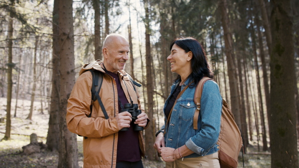 Happy senior hikers outdoors standing in forest in nature, talking and looking at camera.