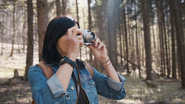 Happy senior women hiker outdoors walking in forest in nature, taking pictures.