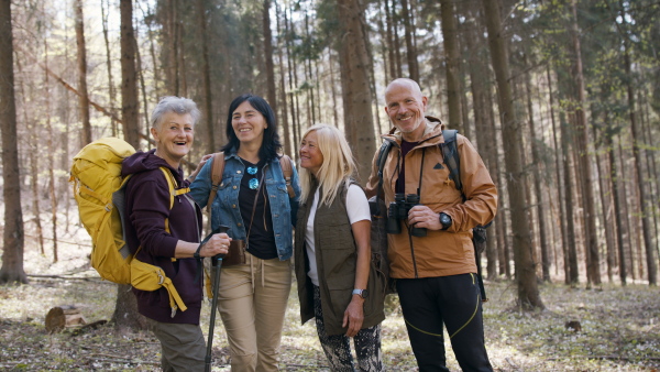 A group of seniors hikers outdoors in forest in nature, looking at camera.