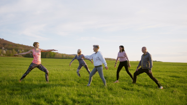 A group of seniors with sport instructor doing exercise outdoors in nature, active lifestyle.