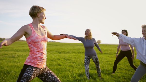 A group of seniors with sport instructor doing exercise outdoors in nature, active lifestyle.