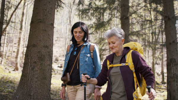 Happy senior women hikers outdoors walking in forest in nature, talking.