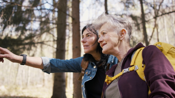 Happy senior women hikers outdoors walking in forest in nature, talking.