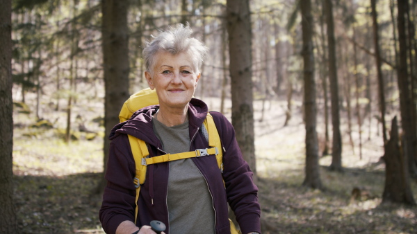 A senior woman hiker outdoors walking in forest in nature, standing and looking at camera.