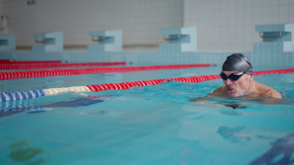 An active senior man swimming in indoors swimming pool.