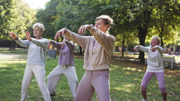 Senior women friends doing exercise outdoors in park