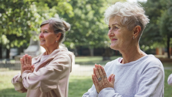 Senior women friends doing exercise outdoors in park