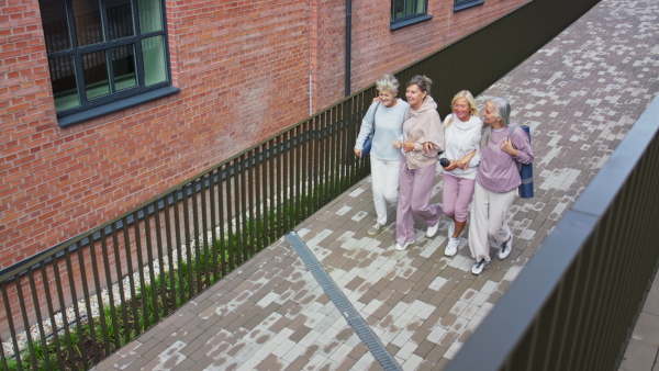 A cheerful group of senior women walking and talking after exercise outdoors in street