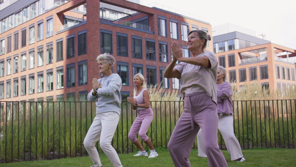 Senior women friends doing exercise outdoors in park