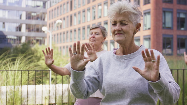 Senior women friends doing exercise outdoors in park