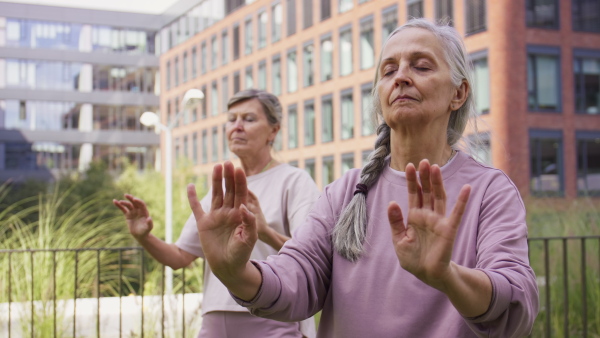 Senior women friends doing exercise outdoors in park