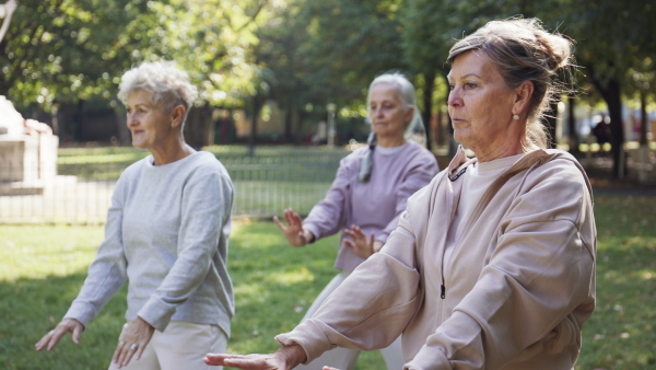 Senior women friends doing exercise outdoors in park