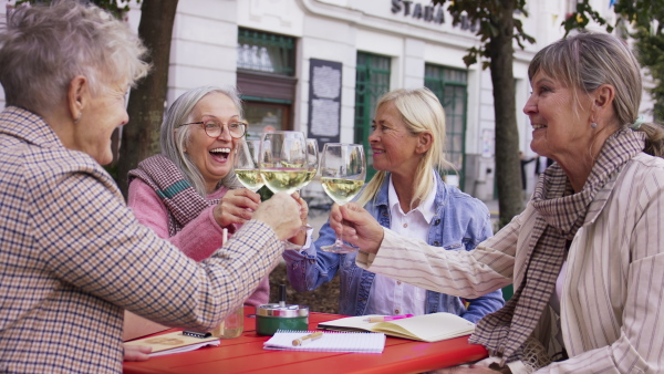 A group of senior women sitting and drinking wine in caf.