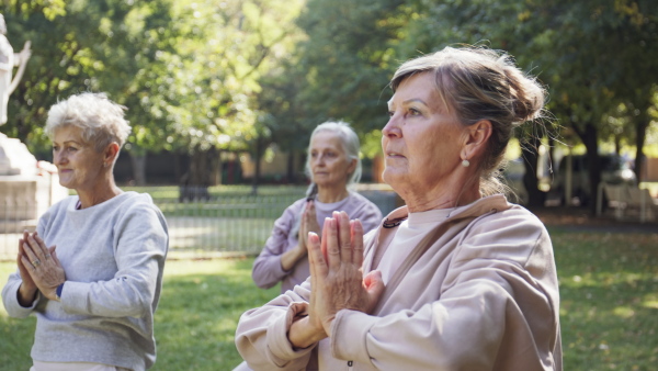 Senior women friends doing exercise outdoors in park