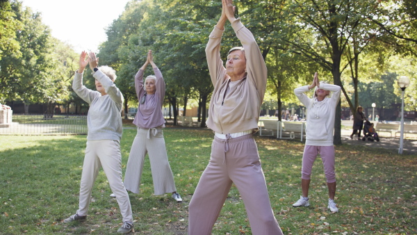 Senior women friends doing exercise outdoors in park