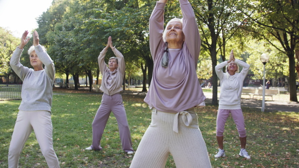 Senior women friends doing exercise outdoors in park