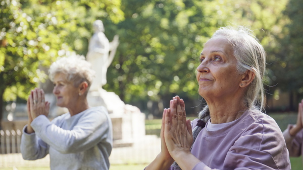 Senior women friends doing exercise outdoors in park