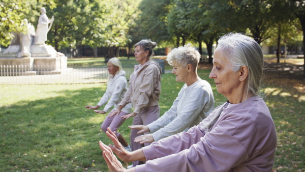 Senior women friends doing exercise outdoors in park