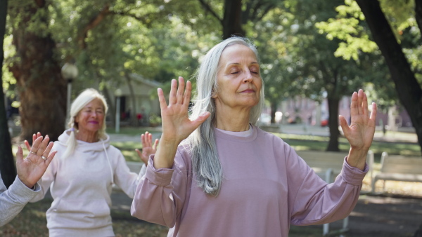 Senior women friends doing exercise outdoors in park