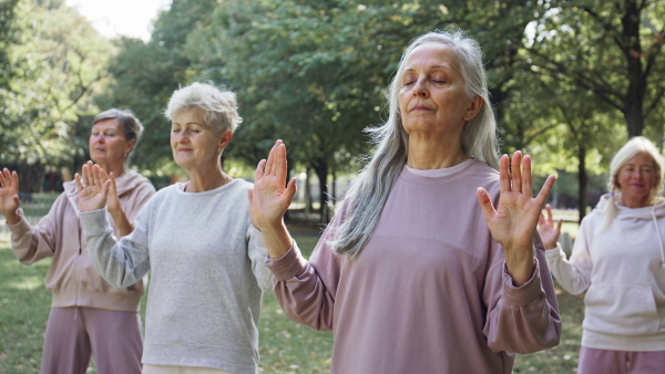 Senior women friends doing exercise outdoors in park