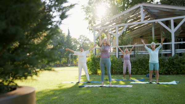 Senior women friends doing exercise outdoors in the park.