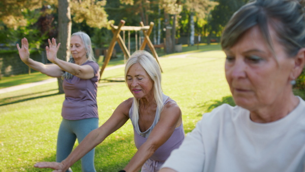 Senior women friends doing exercise outdoors in the park.