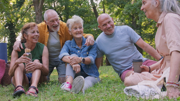 A group of happy senior friends having fun in city park, sitting on grass talking.