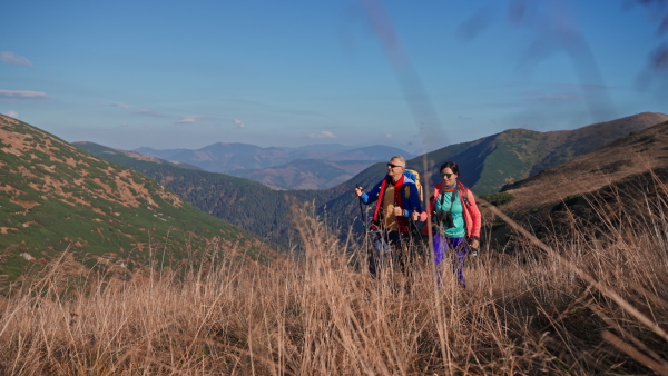 A senior couple with trekking poles hiking together in mountains.