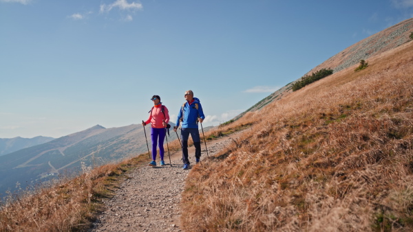 A senior couple with trekking poles hiking together in mountains.