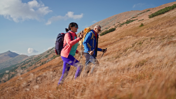 A senior couple with trekking poles hiking together in mountains.