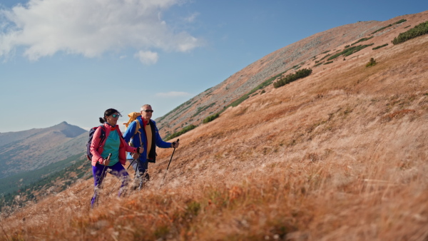 A senior couple with trekking poles hiking together in mountains.