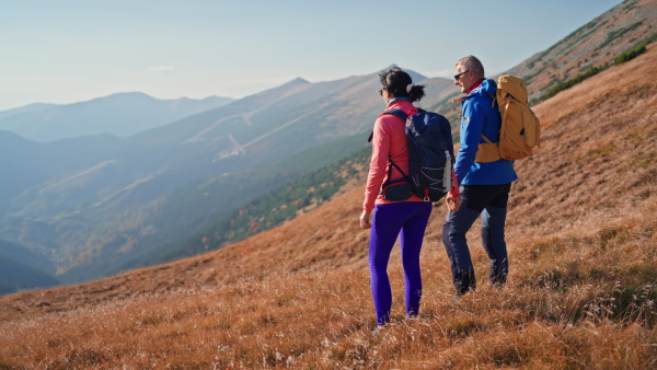 A rear view of senior couple hikers looking at view together in mountains.