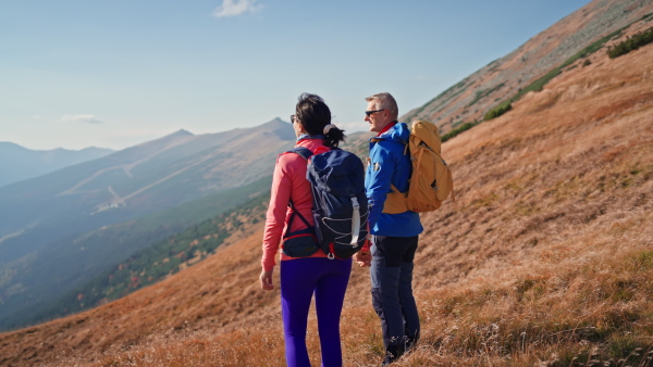 A rear view of senior couple hikers looking at view together in mountains.