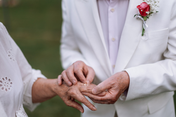 Close-up of seniors hands with golden wedding rings during their marriage.