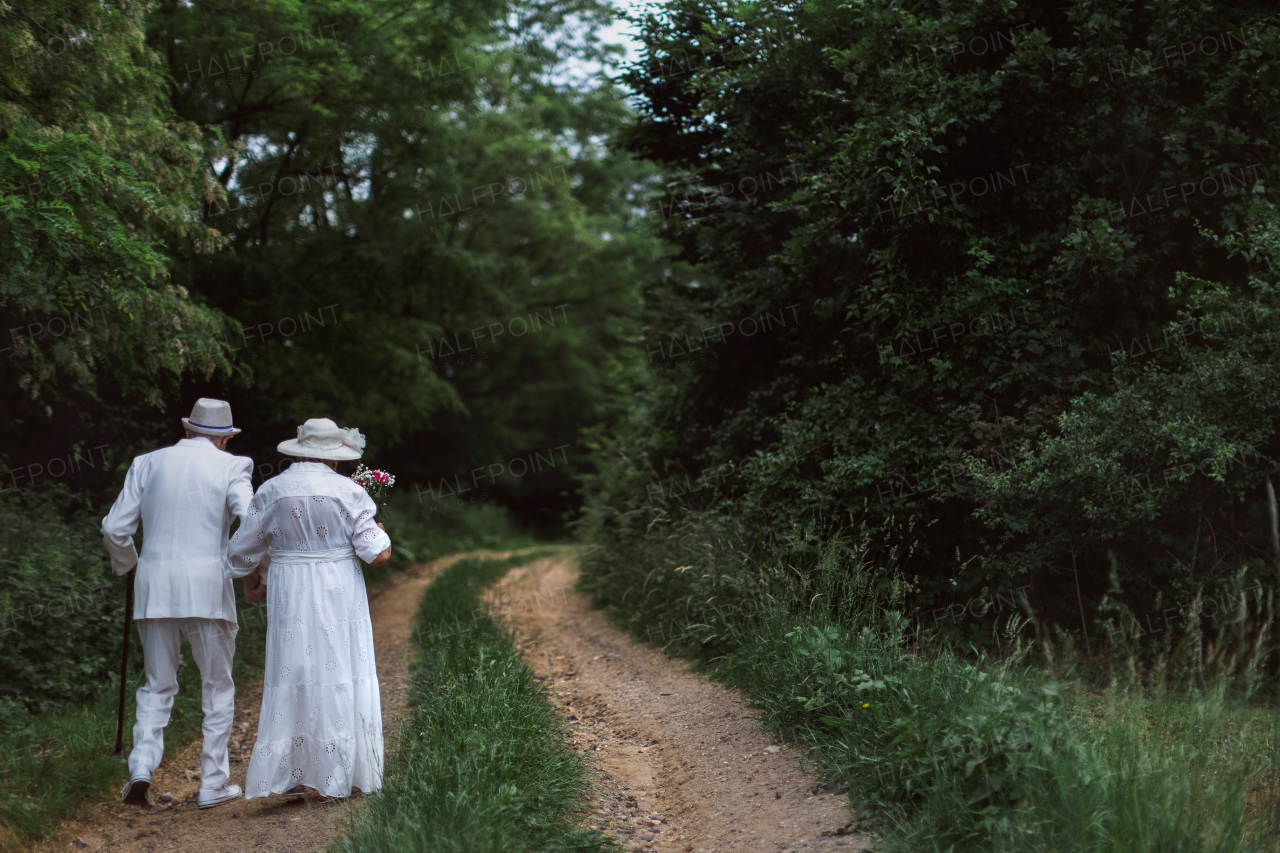 Rear view of senior couple having wedding photography in a forest during summer day.