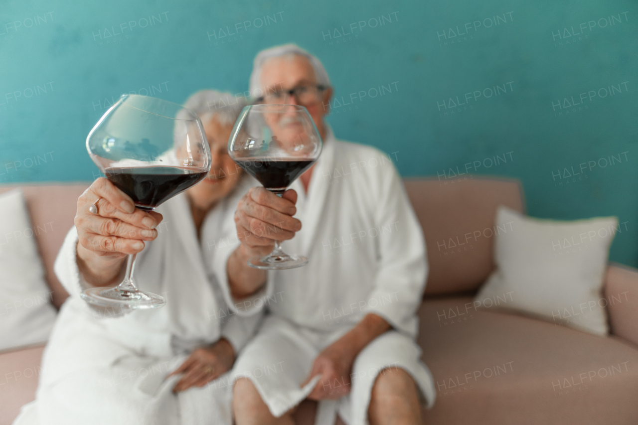 Happy senior couple sitting together in the bathrobe on sofa with glass of wine, having nice time at home.