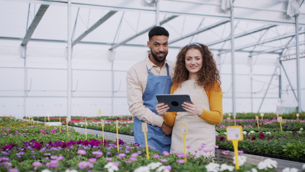 Young colleagues with tablet working in garden centre, looking at camera.