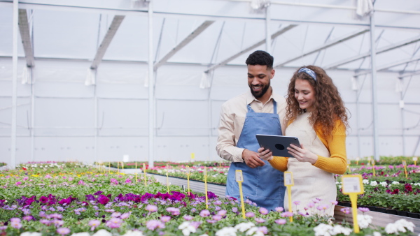 Young colleagues working on tablet in garden centre.