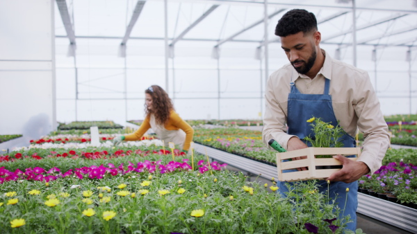 Young colleagues working in garden centre.