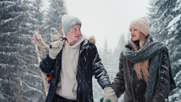 A happy young couple in love walking and carrying sledge in wintery nature under falling snow.